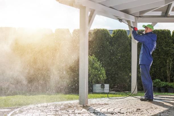 Best Post-Construction Pressure Washing  in Lake Catherine, IL